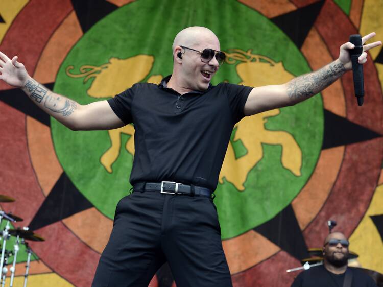 A Pitbull lookalike contest is happening in Miami this week to celebrate 305 Day