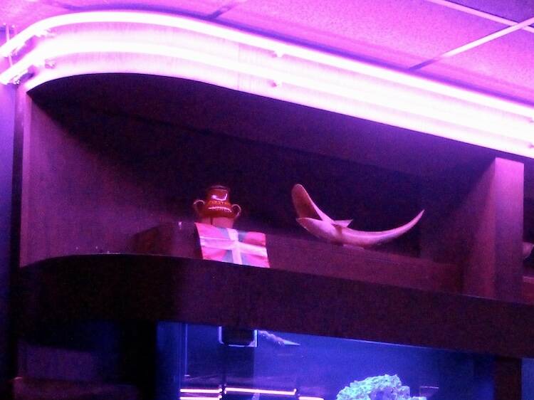 The best bars in South Beach, from cozy hotel nooks to notorious dives