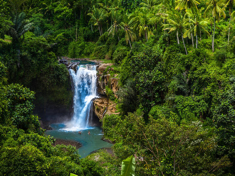 The best things to do in Bali, from hanging with monkeys to mountain sunrises The best things to do in Bali, from hanging with monkeys to mountain sunrises