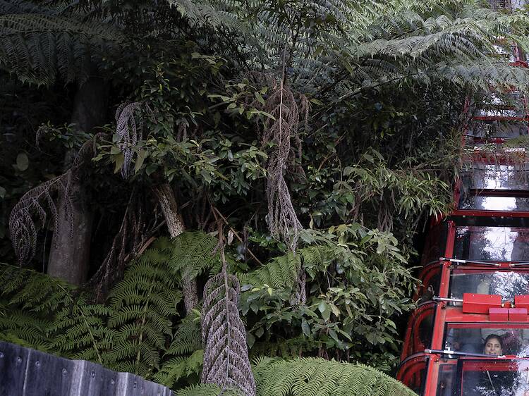 The top tourist attractions The top tourist attractions