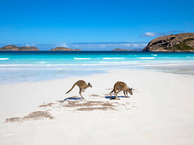The best beaches in Australia The best beaches in Australia