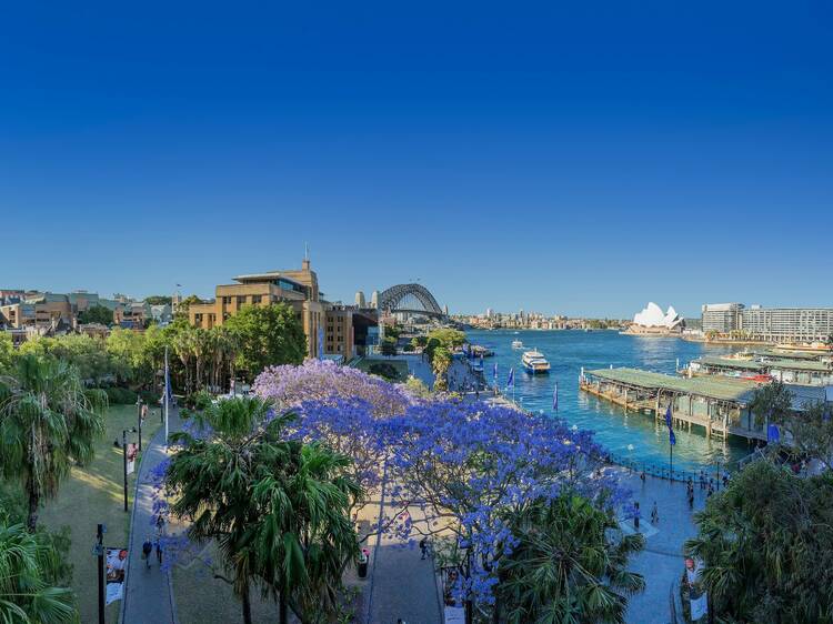 The best things to do in Sydney The best things to do in Sydney