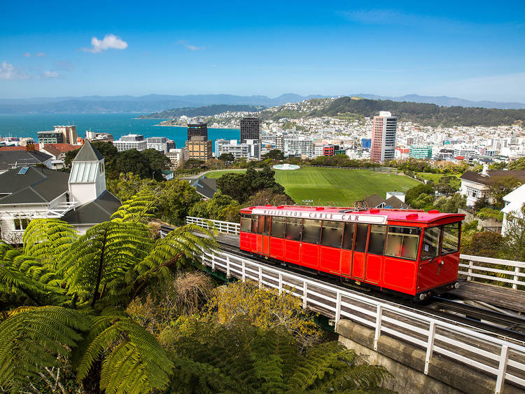 Wellington Wellington