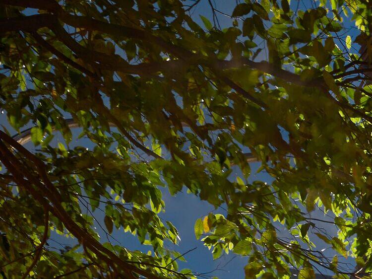 เฉลิมฉลองฤดูกาลแห่งความสุข ให้ทุกโมเมนต์ของปลายปีเปล่งประกายไปกับ COMO Metropolitan Singapore เฉลิมฉลองฤดูกาลแห่งความสุข ให้ทุกโมเมนต์ของปลายปีเปล่งประกายไปกับ COMO Metropolitan Singapore