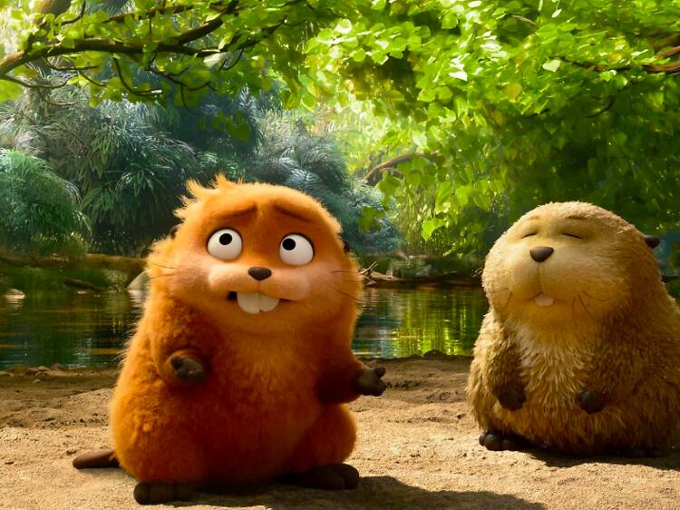 Hoppers / Hoplayanlar