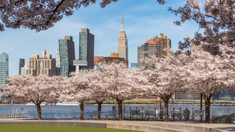 Finally, spring-like weather is headed to NYC