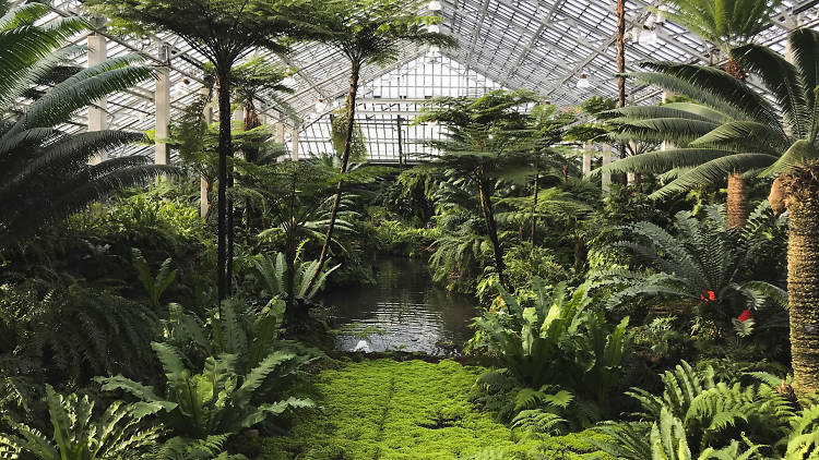 The best free things to do in Chicago