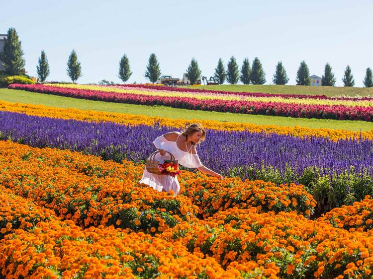 The best things to do this month