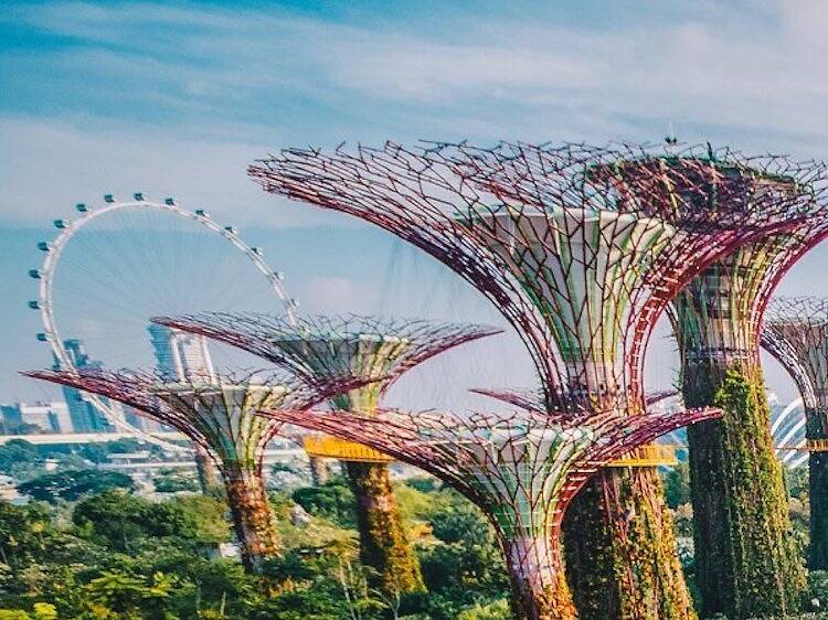 The 101 best things to do in Singapore