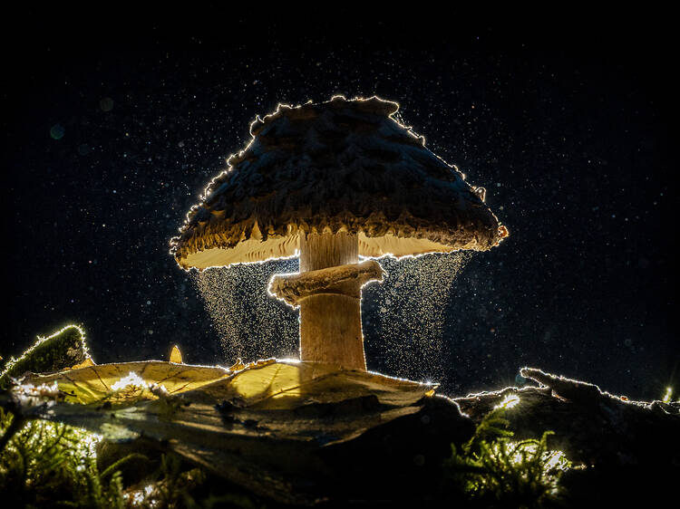 All the best travel photos from the Sony World Photography Awards 2026 shortlist